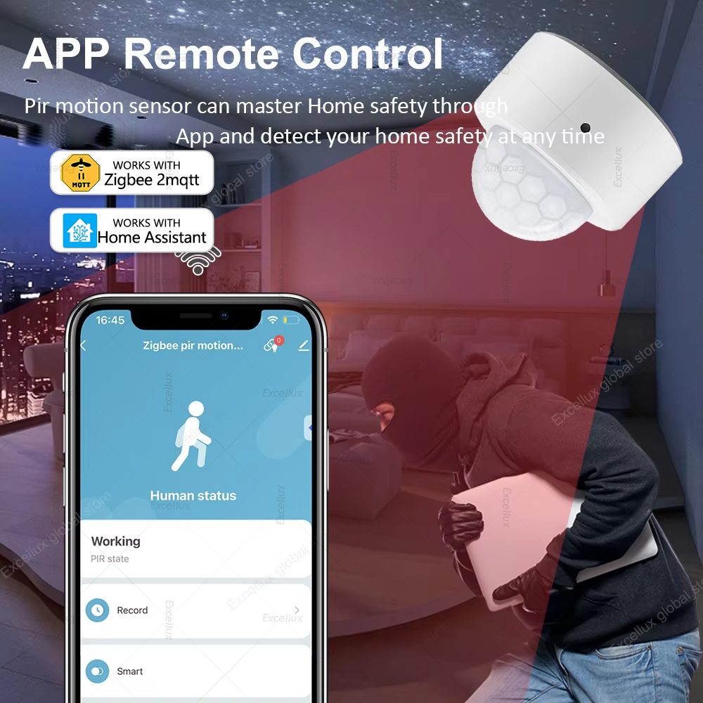 ZigBee PIR Motion Sensor Mini  - đánh giá và giá Home Security Home Assistant