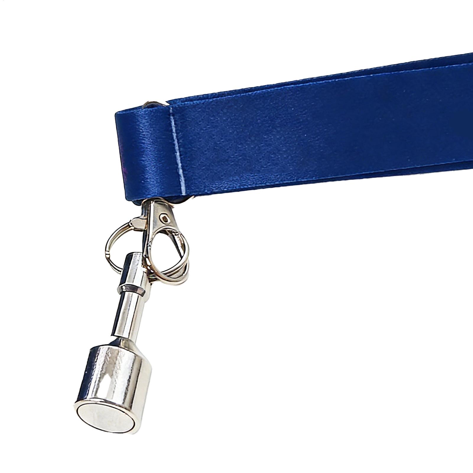 Bocce Balls Picker Set Secure  - đánh giá và giá Home Security Training