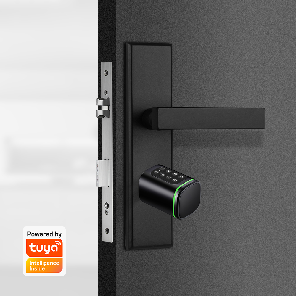 Smart Cylinder Lock Tuya 60-90 - đánh giá và giá Home Security Key