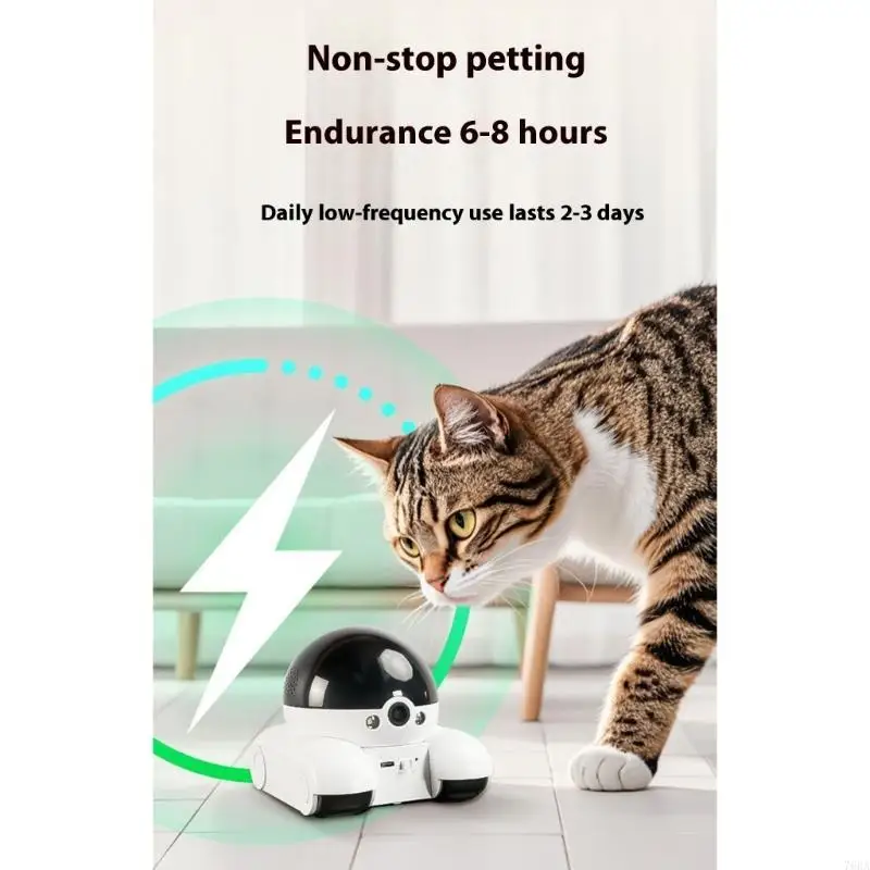 Camera thú cưng xoay 360 độ vớ - đánh giá và giá Home Security Training